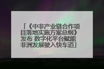 《中非产业链合作项目落地实施方案总纲》发布 数字化平台赋能非洲发展驶入快车道