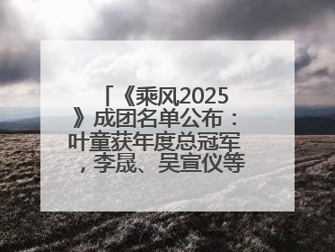 《乘风2025》成团名单公布：叶童获年度总冠军，李晟、吴宣仪等10位姐姐成功成团，陈德容获年度高光人物