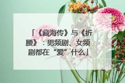 《藏海传》与《折腰》：男频剧、女频剧都在“爱”什么