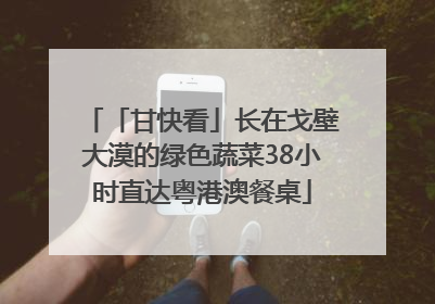 「甘快看」长在戈壁大漠的绿色蔬菜38小时直达粤港澳餐桌