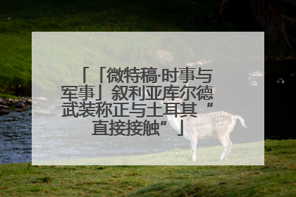 「微特稿·时事与军事」叙利亚库尔德武装称正与土耳其“直接接触”