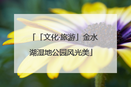 「文化·旅游」金水湖湿地公园风光美