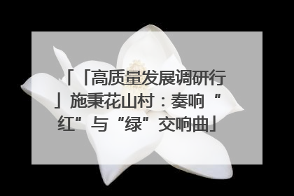 「高质量发展调研行」施秉花山村：奏响“红”与“绿”交响曲