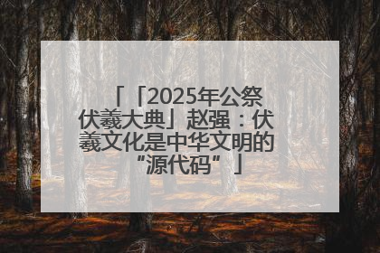 「2025年公祭伏羲大典」赵强：伏羲文化是中华文明的“源代码”