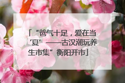 “爸气十足，爱在当‘夏’——古汉潮玩养生市集”衡阳开市