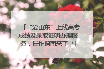 “爱山东”上线高考成绩及录取证明办理服务，操作指南来了→