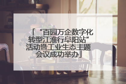 “百园万企数字化转型江淮行阜阳站”活动暨工业生态主题会议成功举办