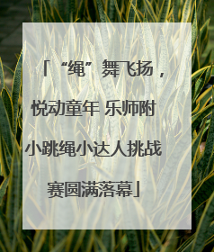 “绳”舞飞扬，悦动童年 乐师附小跳绳小达人挑战赛圆满落幕