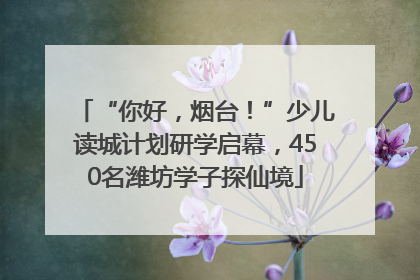 “你好，烟台！”少儿读城计划研学启幕，450名潍坊学子探仙境