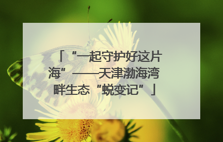 “一起守护好这片海”——天津渤海湾畔生态“蜕变记”