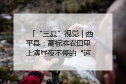 “三夏”视觉｜西平县：高标准农田里上演昼夜不停的“速度与激情”