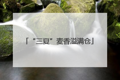 “三夏”麦香溢满仓