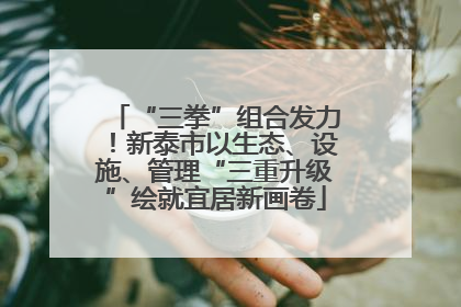 “三拳”组合发力！新泰市以生态、设施、管理“三重升级”绘就宜居新画卷