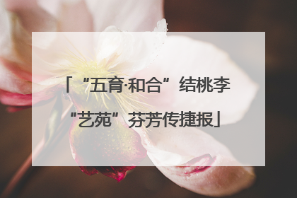 “五育·和合”结桃李 “艺苑”芬芳传捷报