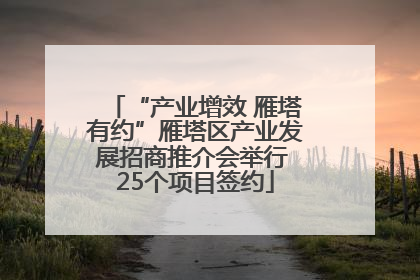 “产业增效 雁塔有约”雁塔区产业发展招商推介会举行 25个项目签约
