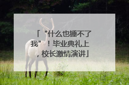 “什么也锤不了我”！毕业典礼上，校长激情演讲