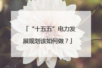 “十五五”电力发展规划该如何做？