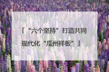“六个坚持”打造共同现代化“瓜州样板”