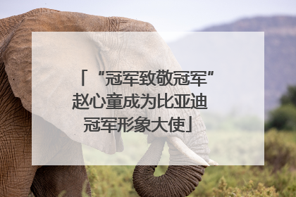 “冠军致敬冠军” 赵心童成为比亚迪冠军形象大使