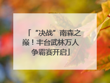“决战”南森之巅！丰台武林万人争霸赛开启