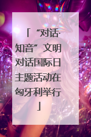 “对话·知音”文明对话国际日主题活动在匈牙利举行