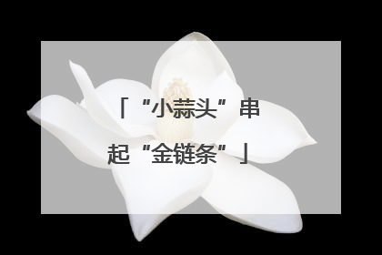 “小蒜头”串起“金链条”
