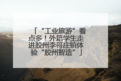 “工业旅游”看点多！外籍学生走进胶州李哥庄镇体验“胶州智造”