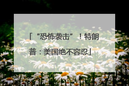 “恐怖袭击”！特朗普：美国绝不容忍
