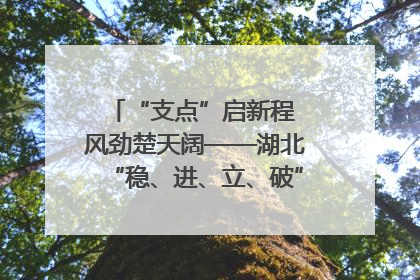 “支点”启新程 风劲楚天阔——湖北“稳、进、立、破”谱写“荆”彩篇章