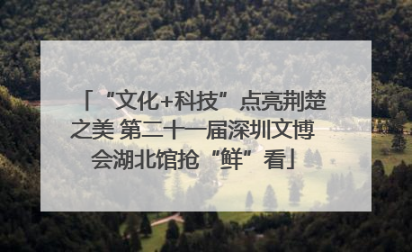 “文化+科技”点亮荆楚之美 第二十一届深圳文博会湖北馆抢“鲜”看