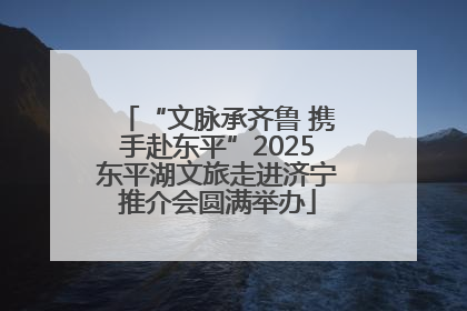 “文脉承齐鲁 携手赴东平”2025东平湖文旅走进济宁推介会圆满举办