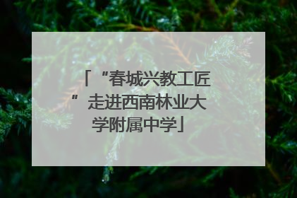 “春城兴教工匠”走进西南林业大学附属中学