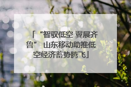 “智驭低空 翼展齐鲁” 山东移动助推低空经济蓄势腾飞