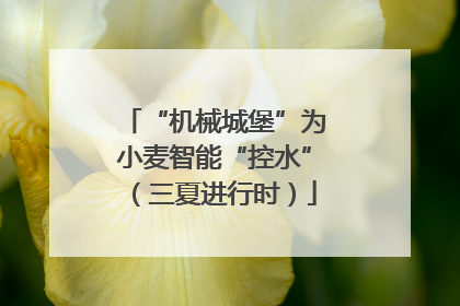 “机械城堡”为小麦智能“控水”（三夏进行时）
