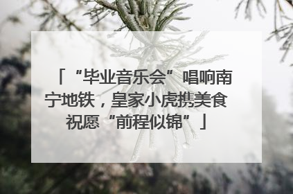 “毕业音乐会”唱响南宁地铁，皇家小虎携美食祝愿“前程似锦”