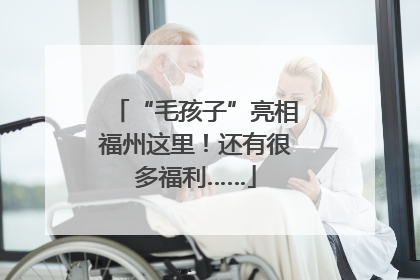“毛孩子”亮相福州这里！还有很多福利……