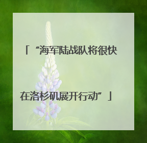 “海军陆战队将很快在洛杉矶展开行动”