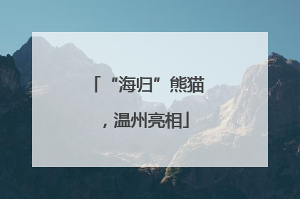 “海归”熊猫，温州亮相