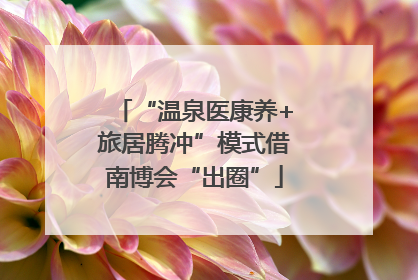 “温泉医康养+旅居腾冲”模式借南博会“出圈”