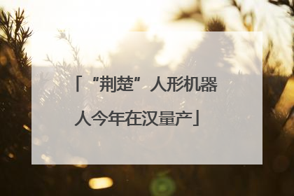 “荆楚”人形机器人今年在汉量产