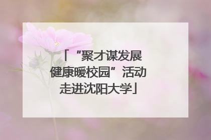 “聚才谋发展 健康暖校园”活动走进沈阳大学