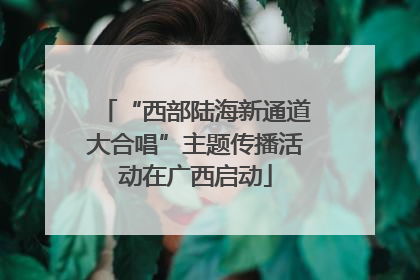 “西部陆海新通道大合唱”主题传播活动在广西启动