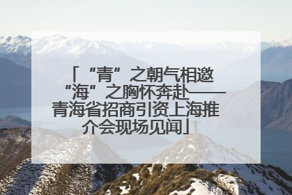 “青”之朝气相邀 “海”之胸怀奔赴——青海省招商引资上海推介会现场见闻