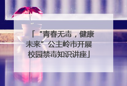“青春无毒，健康未来”公主岭市开展校园禁毒知识讲座