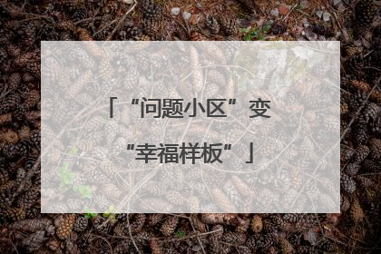 “问题小区”变“幸福样板”
