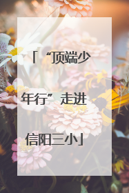 “顶端少年行”走进信阳三小