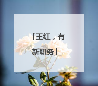 王红，有新职务