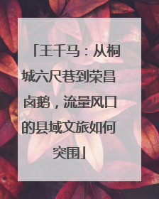 王千马：从桐城六尺巷到荣昌卤鹅，流量风口的县域文旅如何突围