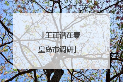 王正谱在秦皇岛市调研