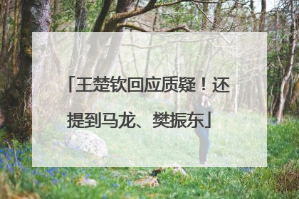 王楚钦回应质疑！还提到马龙、樊振东